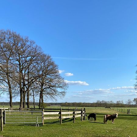Ferienhof Westermann Waldblick Lahden Exterior photo